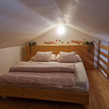 Apartmany Sophia 5 A 6 Velké Losiny Екстериор снимка